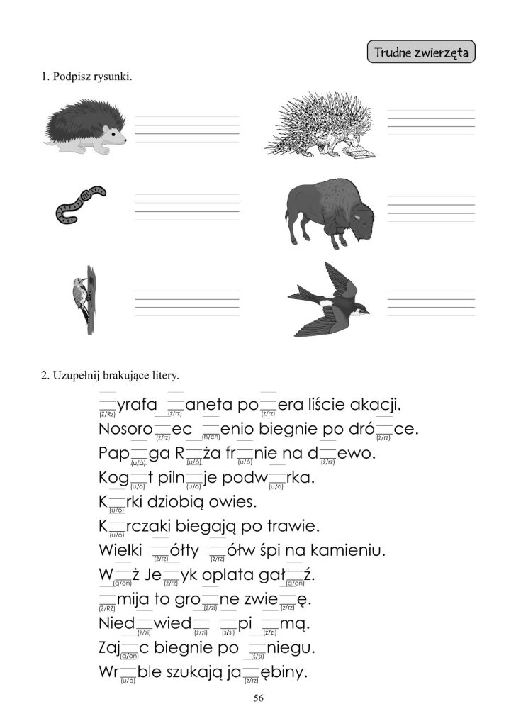 Ortografia, Gramatyka, Dyktanda Klasa 2 – AKSIM – Wydawnictwo dla szkół